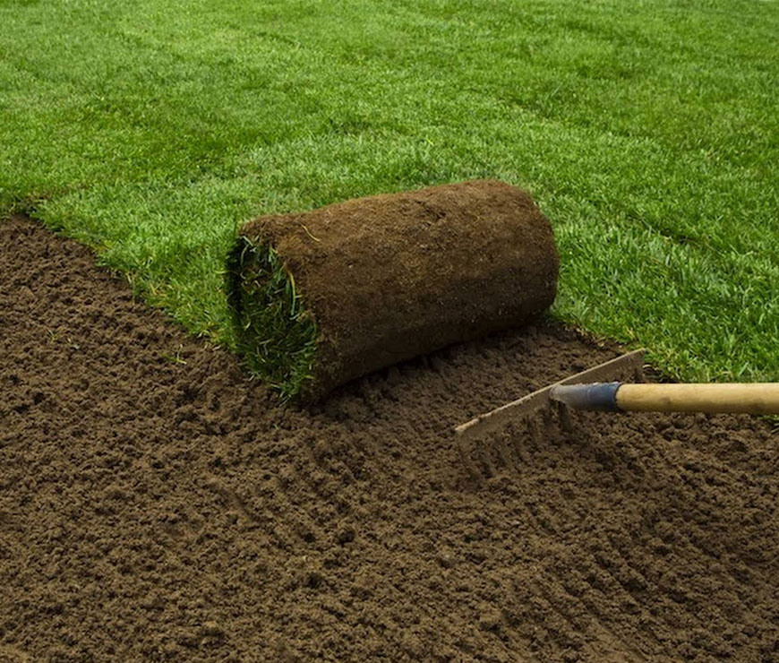 Lawn Moving